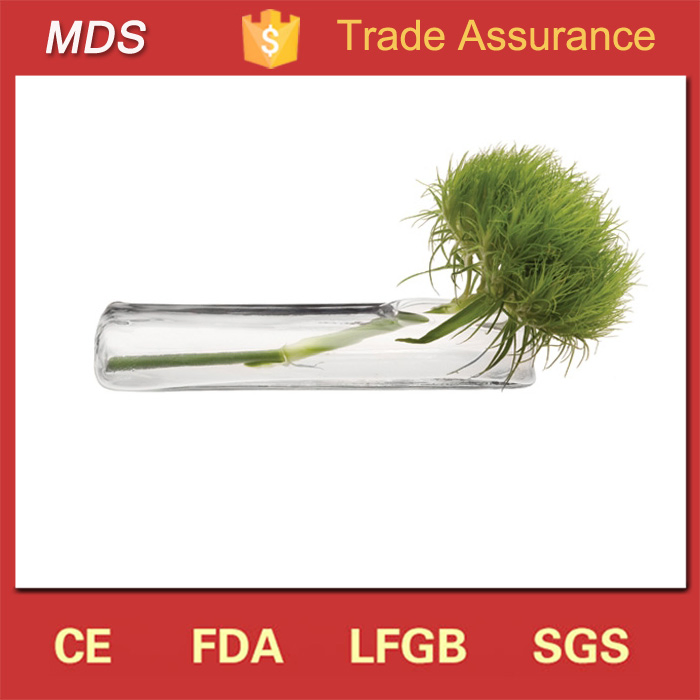 Contemporary Online Shop Flat Glass Vase Decorative Centerpiece