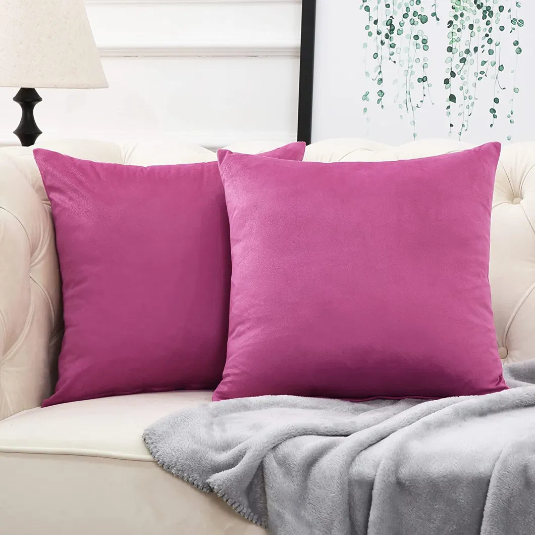 Velvet Pillow Cushion