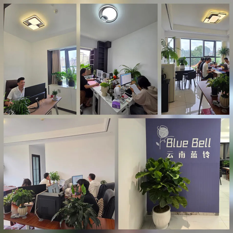 Dried Baby's Breath Flowers