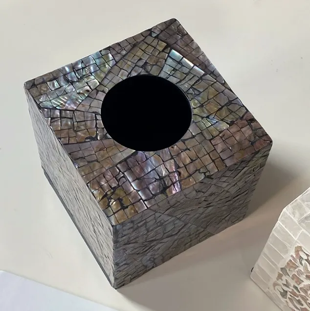 Elegant Shell Facial Tissue Holder Modern Ornament 2