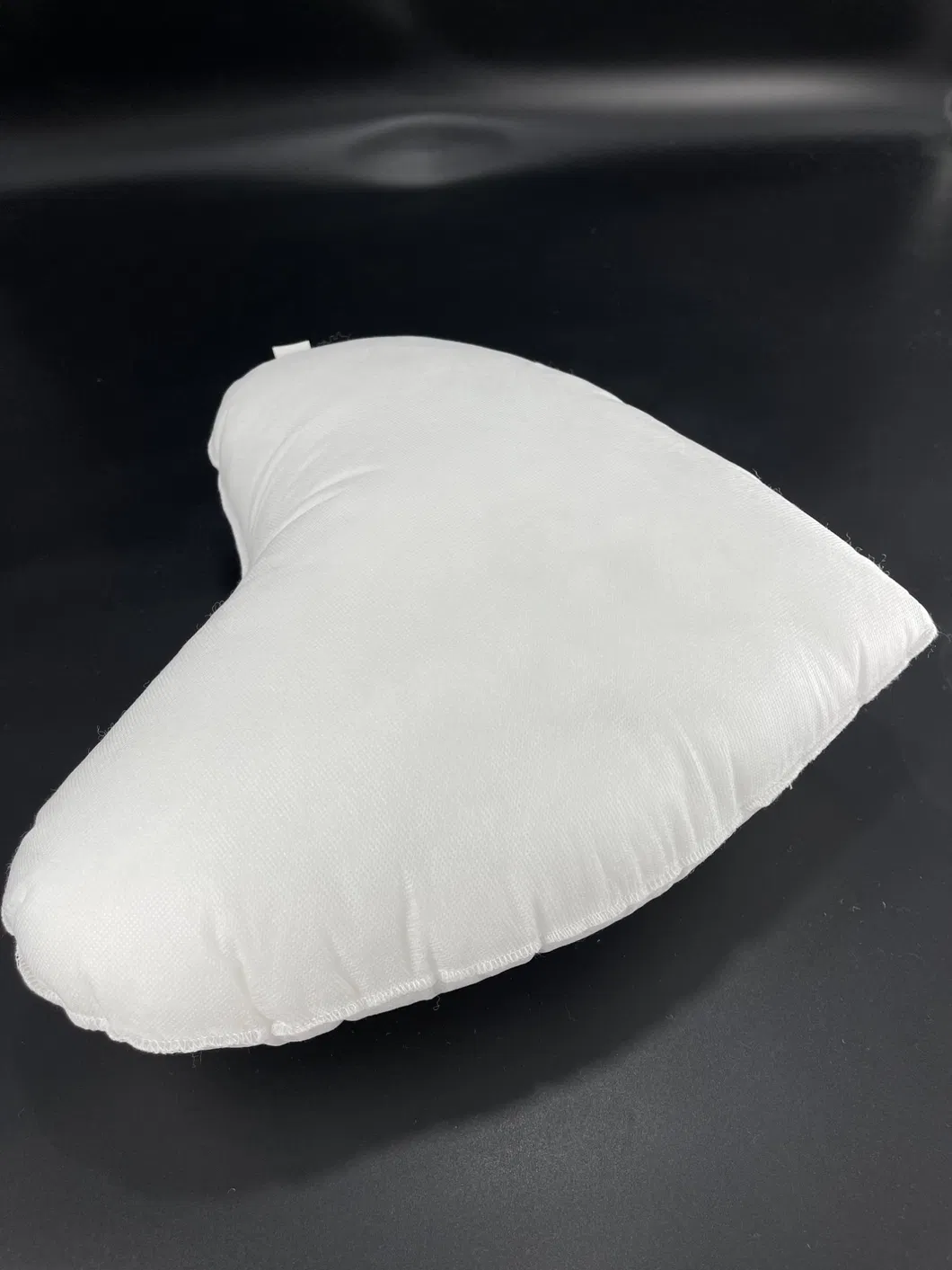 Pillow Insert Photo 5