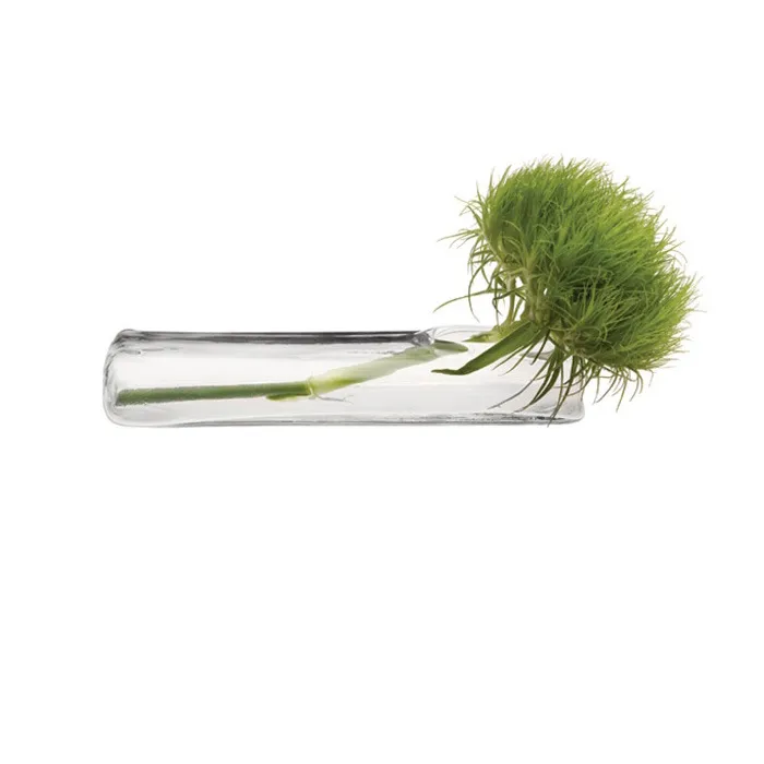 Contemporary Online Shop Flat Glass Vase Decorative Centerpiece