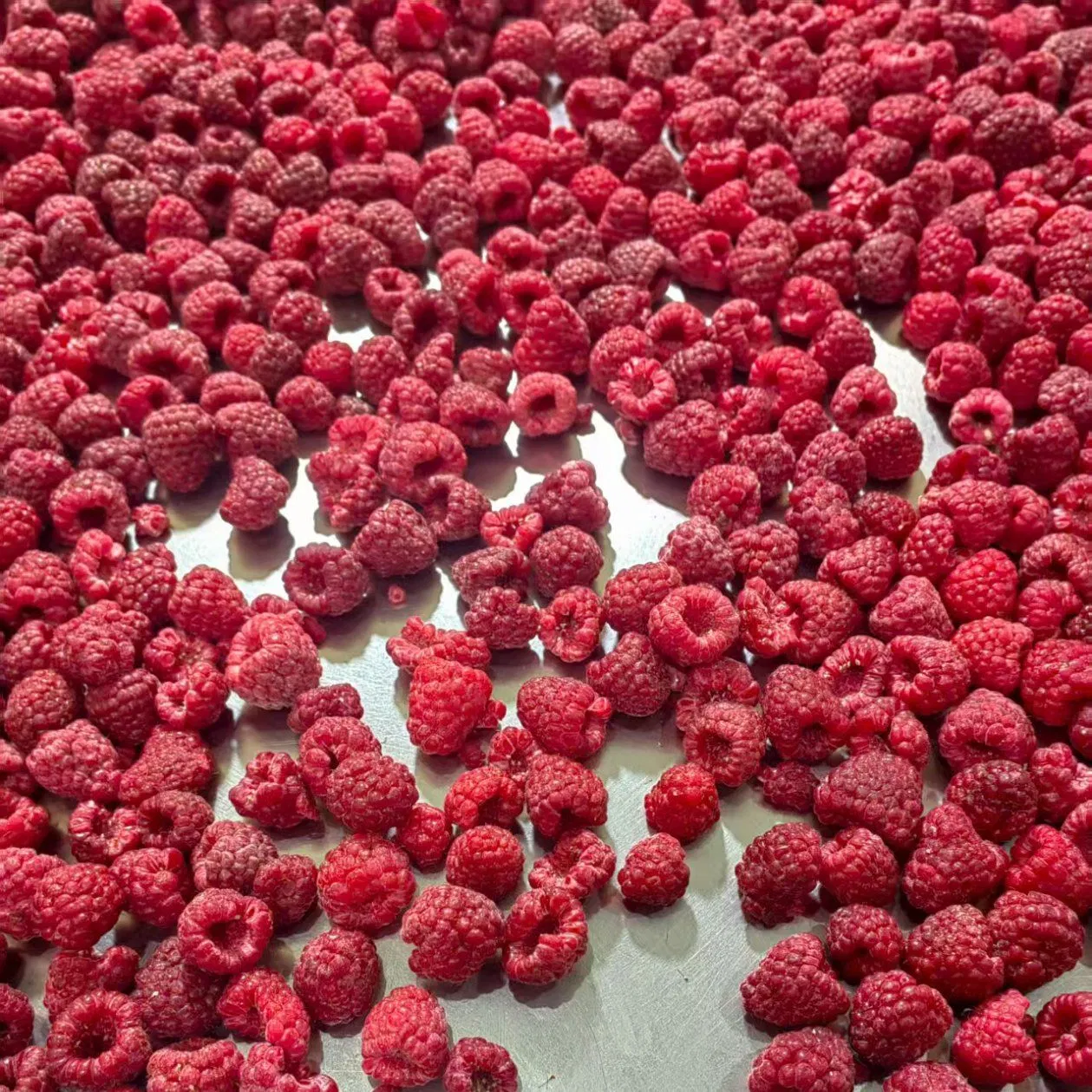 China Frozen Fruit Berries Fruit Wholesale Customized Seasonal Fruit Organic Pitted IQF Fresh Frozen Raspberry in New Crop Whole Berries