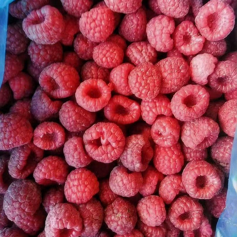 China Frozen Fruit Berries Fruit Wholesale Customized Seasonal Fruit Organic Pitted IQF Fresh Frozen Raspberry in New Crop Whole Berries