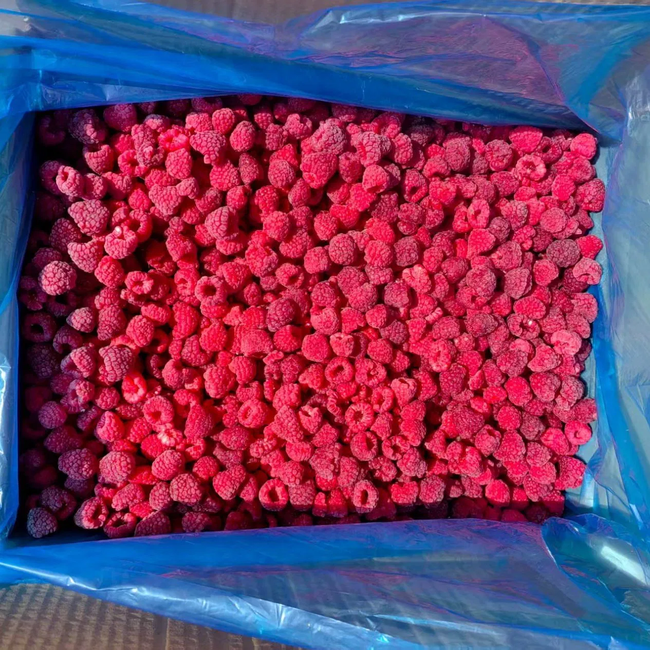 China Frozen Fruit Berries Fruit Wholesale Customized Seasonal Fruit Organic Pitted IQF Fresh Frozen Raspberry in New Crop Whole Berries