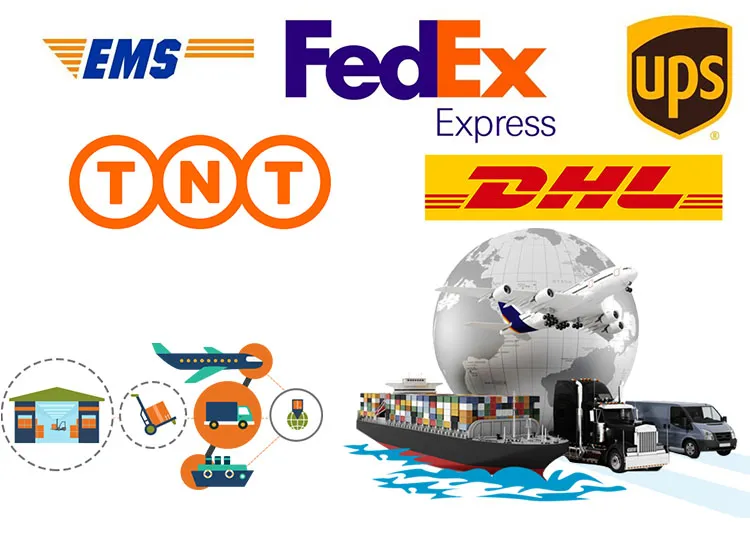 Our Professional Service