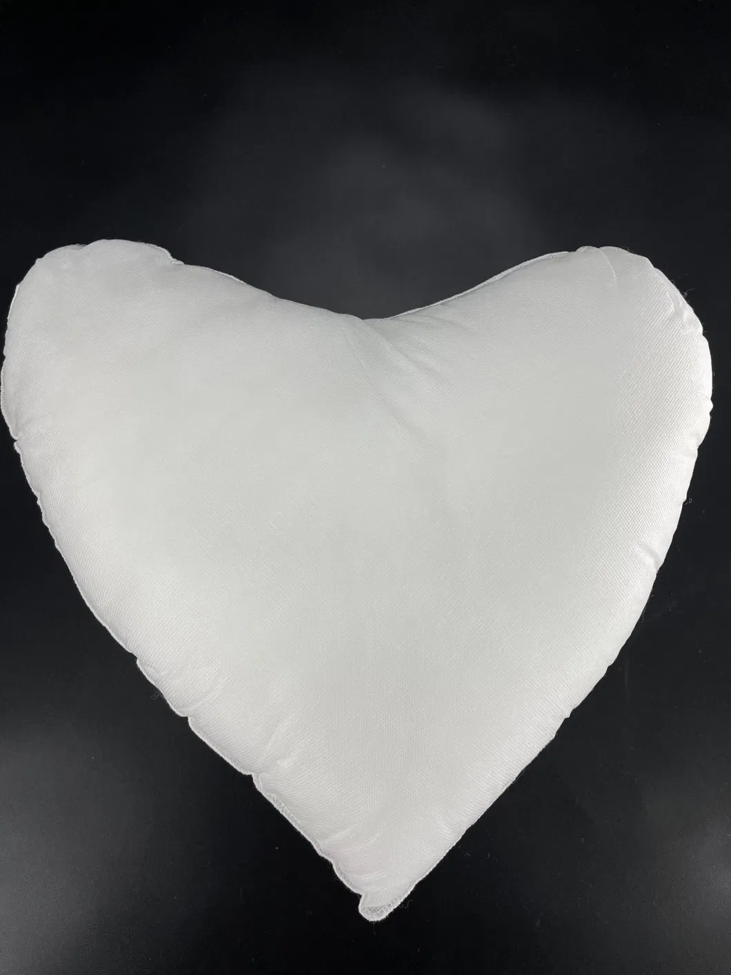 Pillow Insert Photo 4