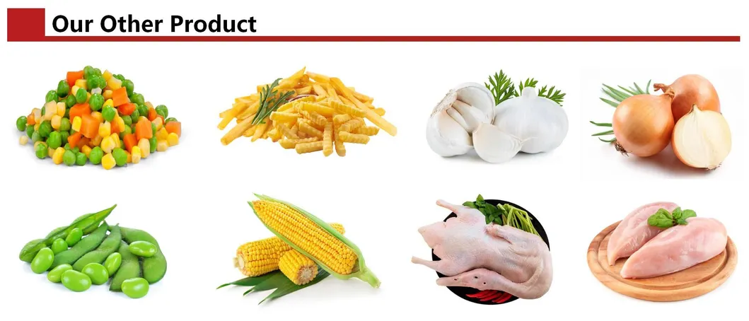 Warehouse and Logistics