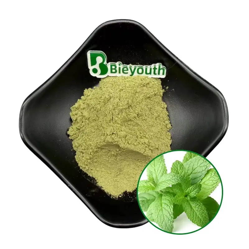 OEM 99% Mint Powder ：99% Mint Powder Cooling Refreshing Natural Herbal Extract Manufacturer, Factory