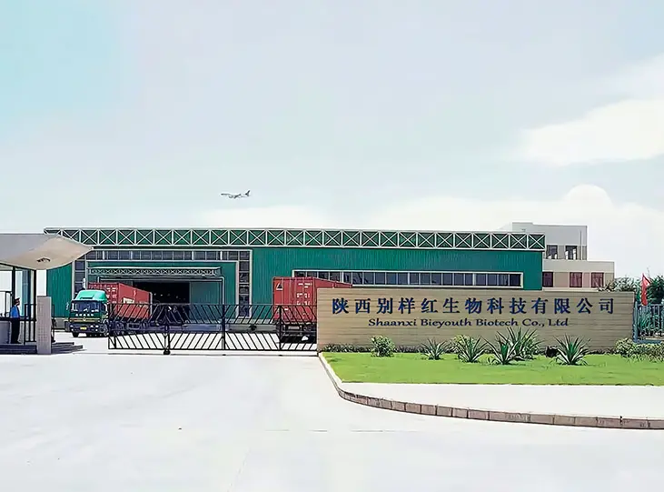 Bieyouth Factory