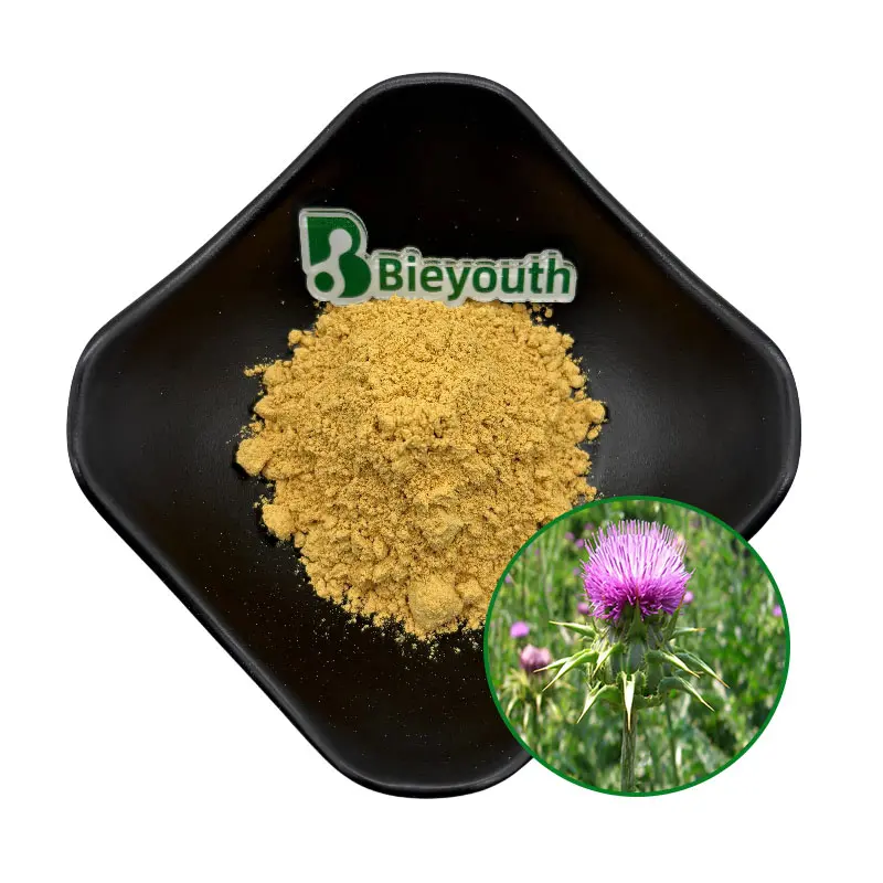 Discount 99%Milk Thistle Extract：99% Silymarin Milk Thistle Extract for Liver Health & Detox Manufacturer, Factories