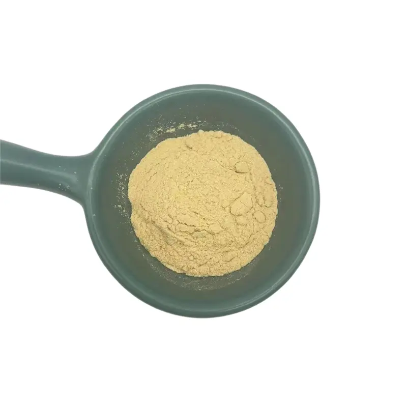 Discount Unlock Skin's Natural Defense with Quillaja Saponaria Extract 98% Saponins Supplier, Factory
