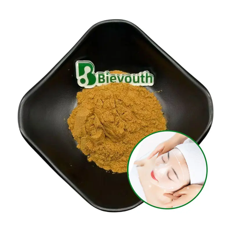 Cynomorium Extract