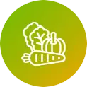 Custom Raw Solutions