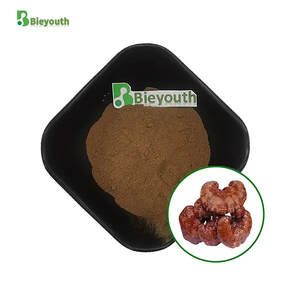 OEM Reishi Mushroom Extract High Quality Manufacturer, Factories