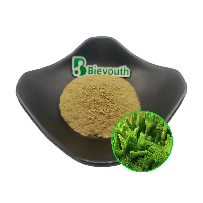 OEM 70% hydrolyzed sponge: Highly active repair power revitalizes the speed of wound healing Suppliers, Factories
