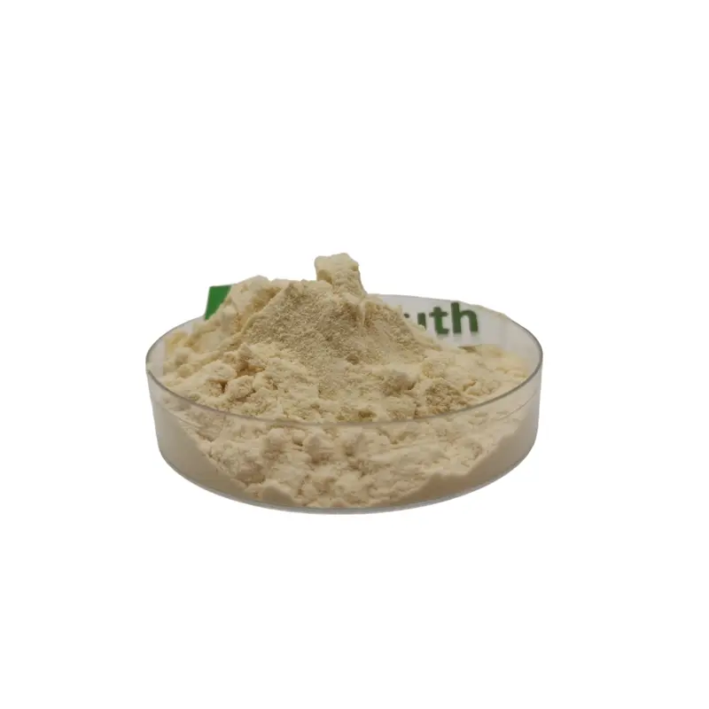 Discount Hydrolyzed Wheat Protein: A Functional Ingredient for Nutritional and Cosmetic Applications Manufacturers, Factories