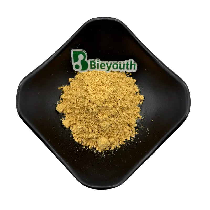 Discount 99%Milk Thistle Extract：99% Silymarin Milk Thistle Extract for Liver Health & Detox Manufacturer, Factories