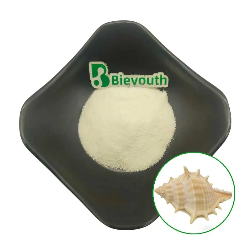 OEM Conchiolin Powder：Natural Bioactive Ingredient for Supplements & Functional Foods Manufacturers, Factories