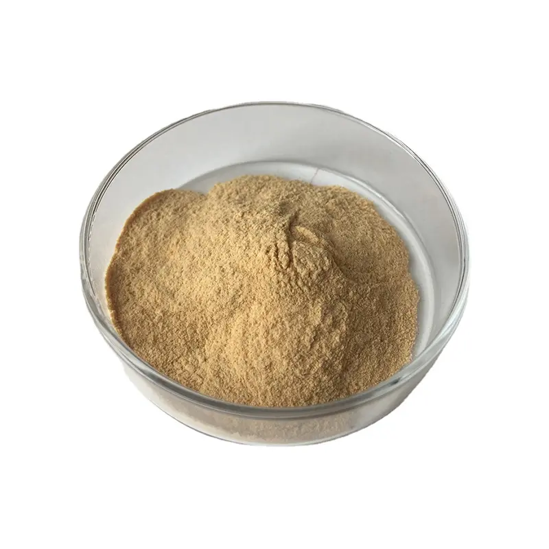 OEM Flammulina Velutipe Extract High Quality Suppliers, Factory