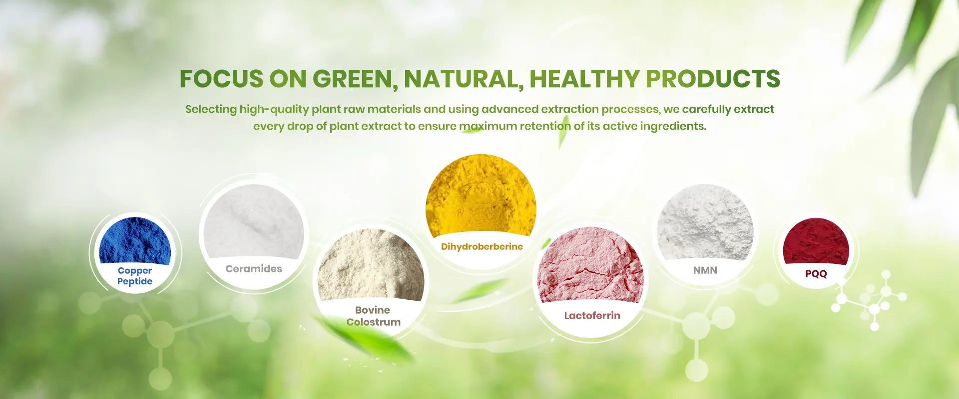Bieyouth Biotech laboratory — advanced extraction equipment for cosmetic and pharmaceutical raw materials