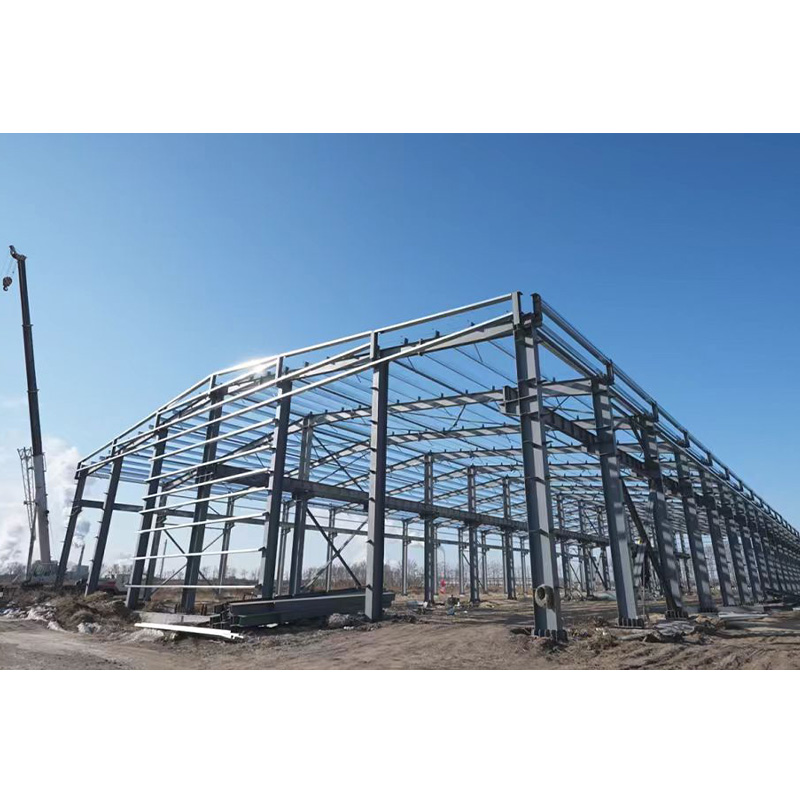 Low Price Multi-Purpose Prefab Steel Buildings Warehouses Cold Storage Construction High Rise Structure High Wind Resistance