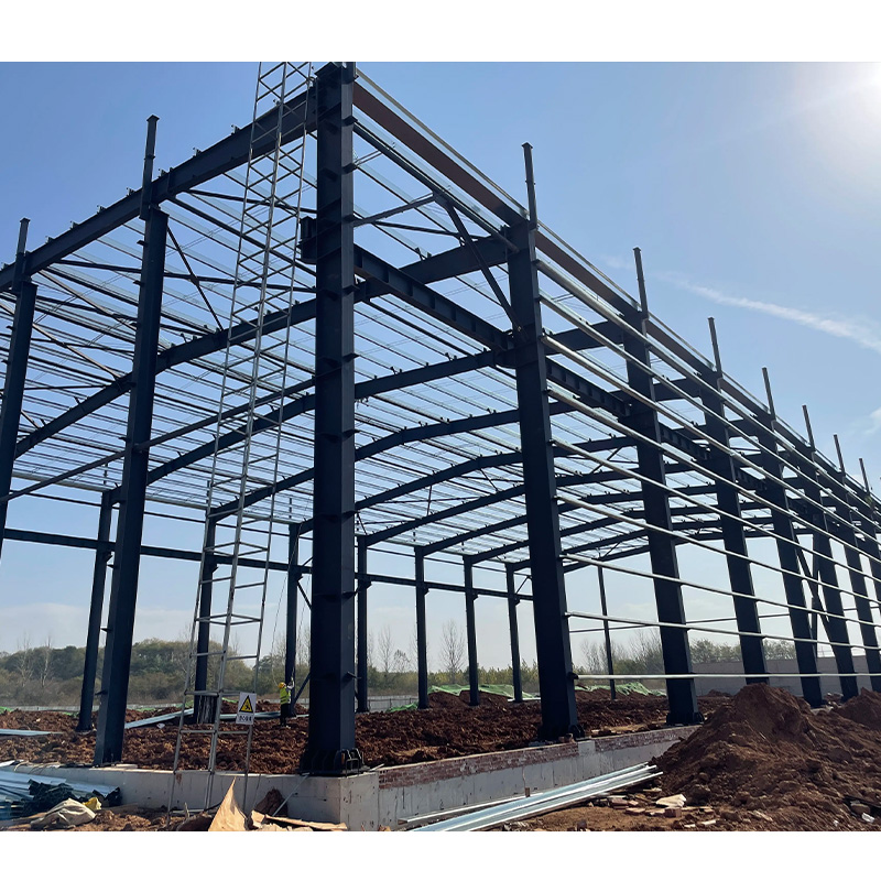 Low Price Multi-Purpose Prefab Steel Buildings Warehouses Cold Storage Construction High Rise Structure High Wind Resistance