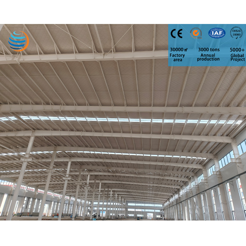 Steel Frame Building Pro Industrial Heavy Duty Fire Resistant Modular Quick Install Multi Purpose Warehouse Storage Structure