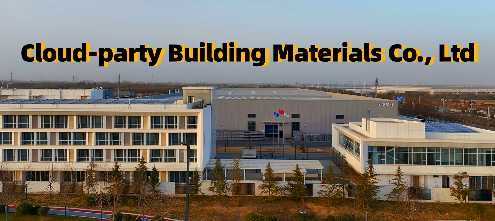 Professional Scaffolding Solutions