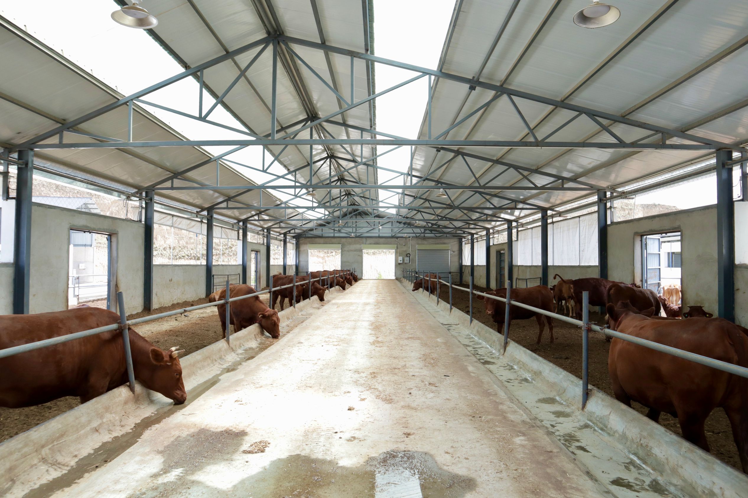 Farm Poultry House