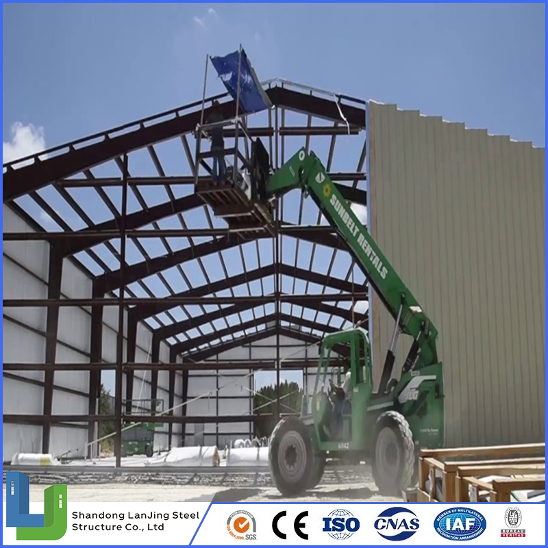 Prefabricated Steel Structure Construction Industrial Building for Warehouse Workshop Hanagr Garage Prefab Building Steel Structure