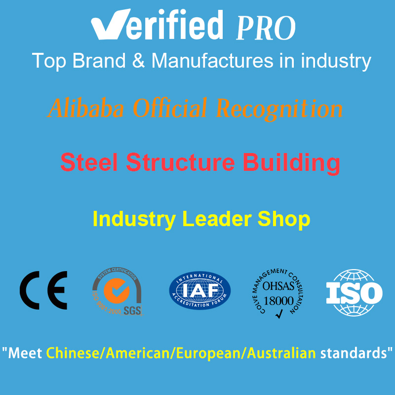 Prefab Metal Light Steel Structure Frame Prefabricated High Rise Multi Steel Structure Building