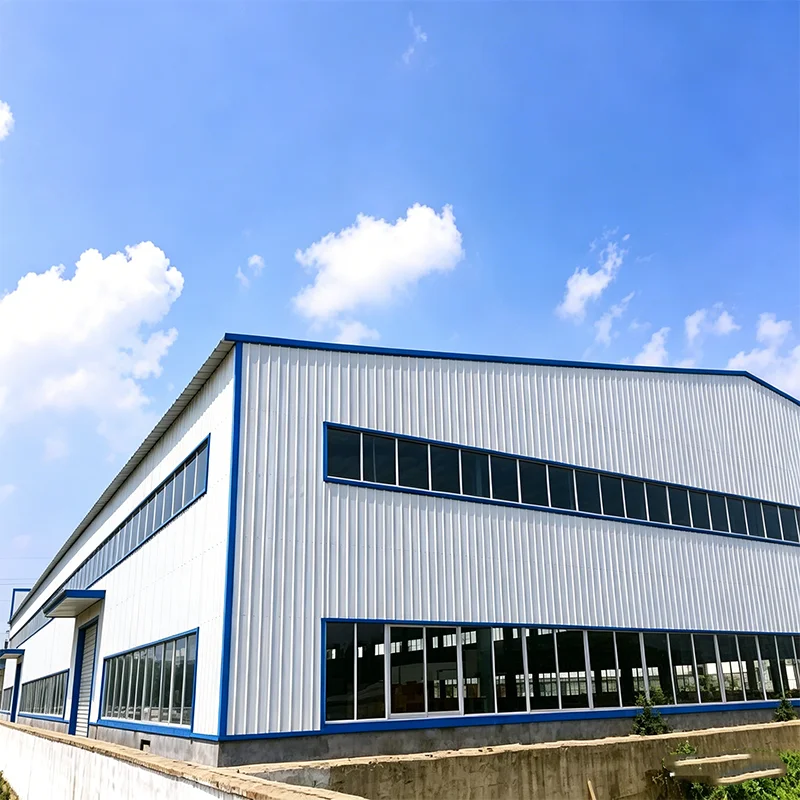 Customized Steel Frame Construction Building Multi Storey High Rise Residential Commercial Industrial Agricultural