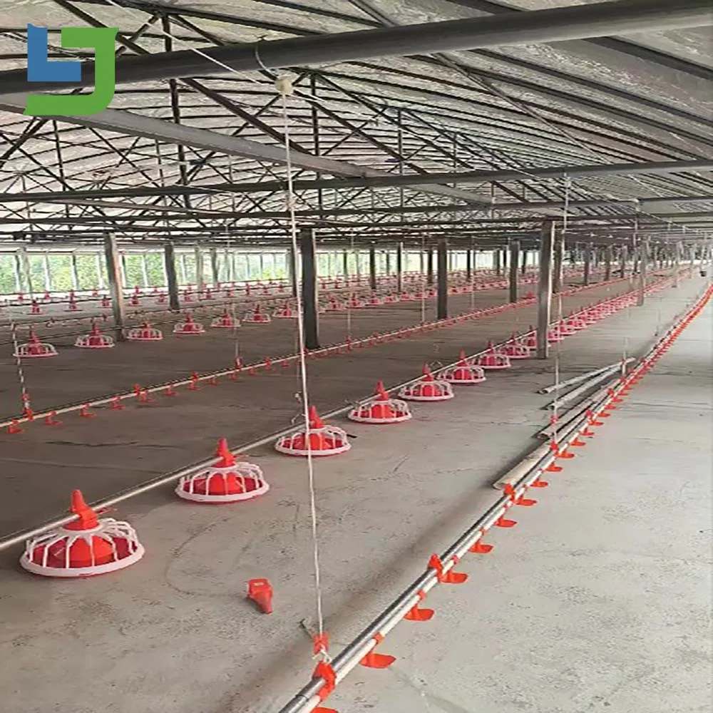 Prefabricated Steel Structure Poultry Chicken Building Shed for Broiler Commercial Farm Houses
