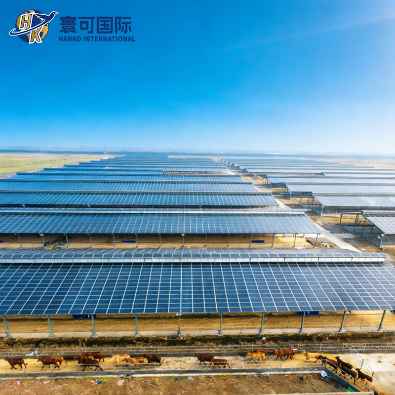 Adjustable Tilt Solar Panel Installation System for Ranch Power Plants Pastoral PV Complementary Mounting System