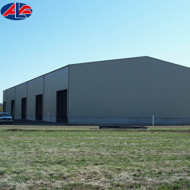 Industrial Steel Building