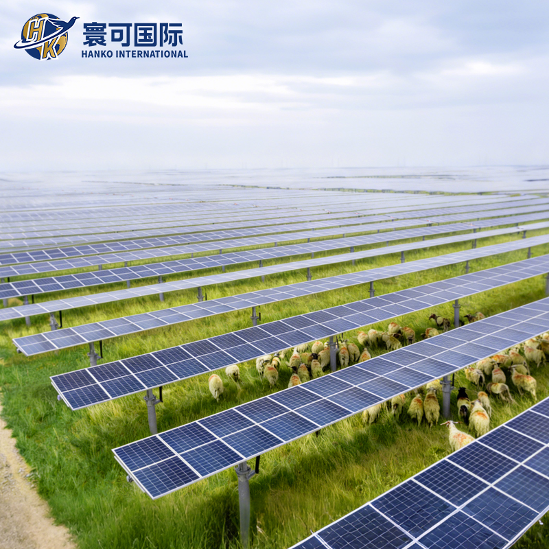 Adjustable Tilt Solar Panel Installation System for Ranch Power Plants Pastoral PV Complementary Mounting System