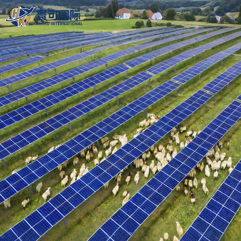 Adjustable Tilt Solar Panel Installation System for Ranch Power Plants Pastoral PV Complementary Mounting System