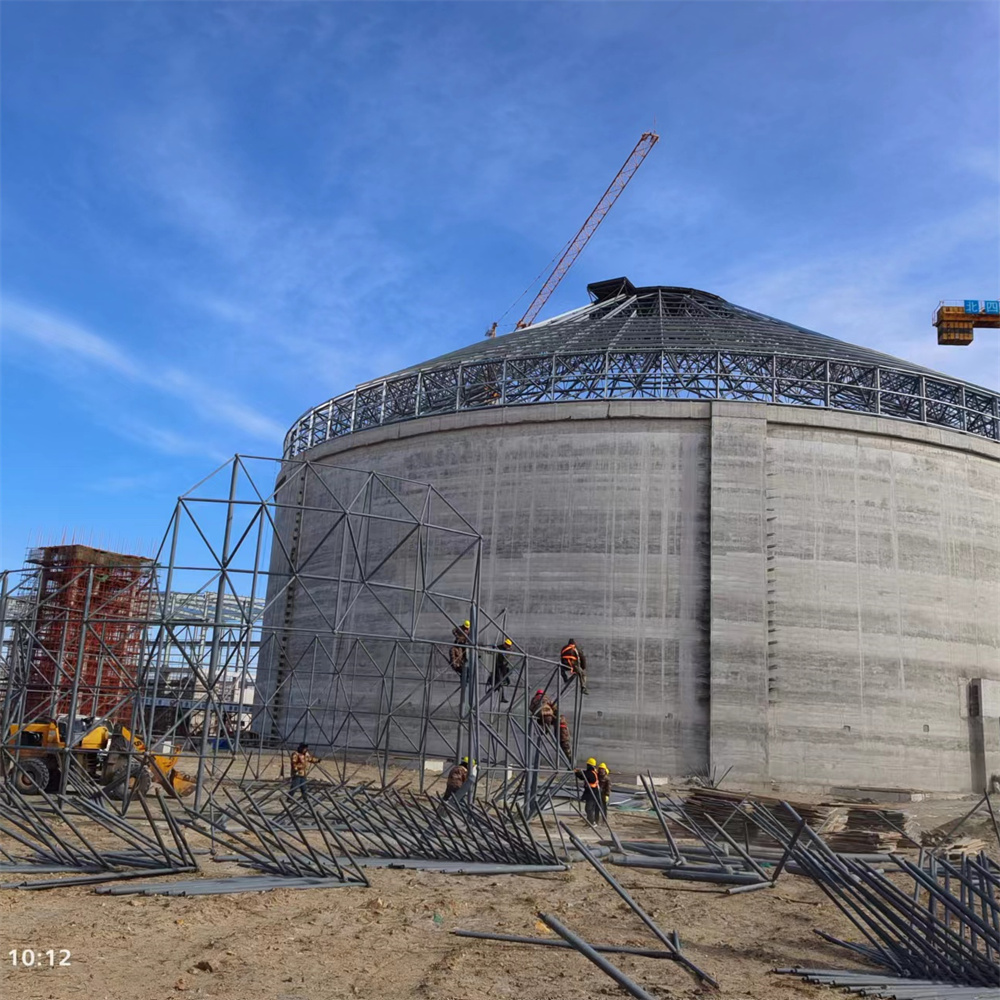 Space Grid Steel Structure Building Manufacturer Supplies Space Frame Geodesic Dome Coal Storage Shed