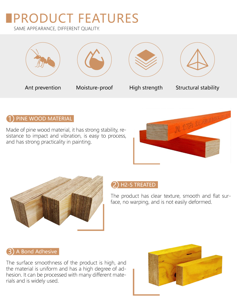 Product Description Image 1