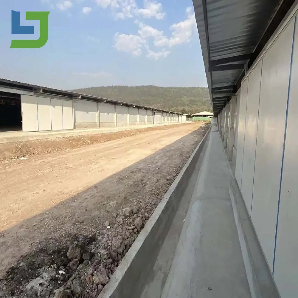 Prefabricated Steel Structure Poultry Chicken Building Shed for Broiler Commercial Farm Houses