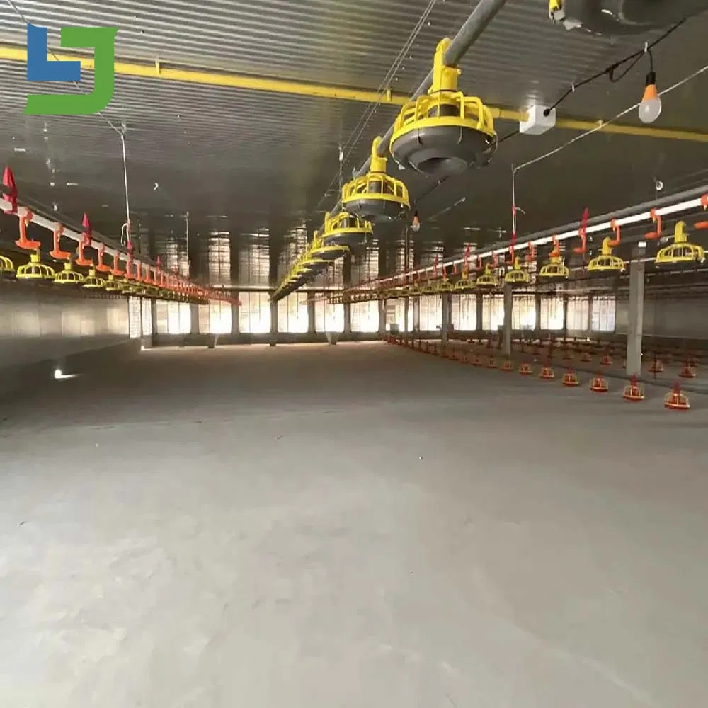 Prefabricated Steel Structure Poultry Chicken Building Shed for Broiler Commercial Farm Houses