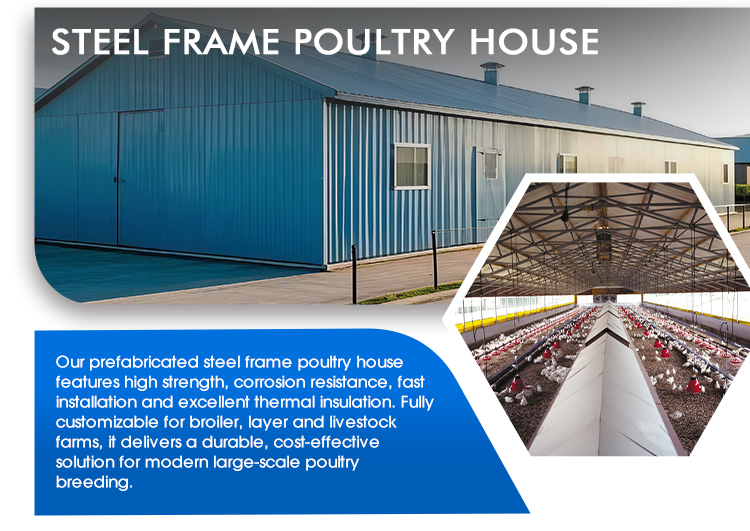 Multi-Span Agricultural Steel Structure