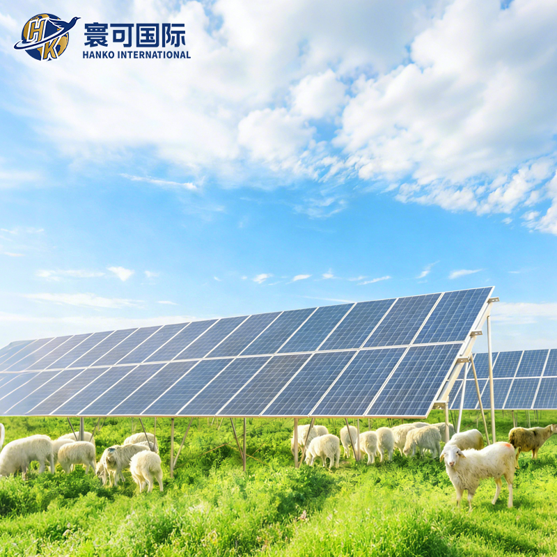 Adjustable Tilt Solar Panel Installation System for Ranch Power Plants Pastoral PV Complementary Mounting System
