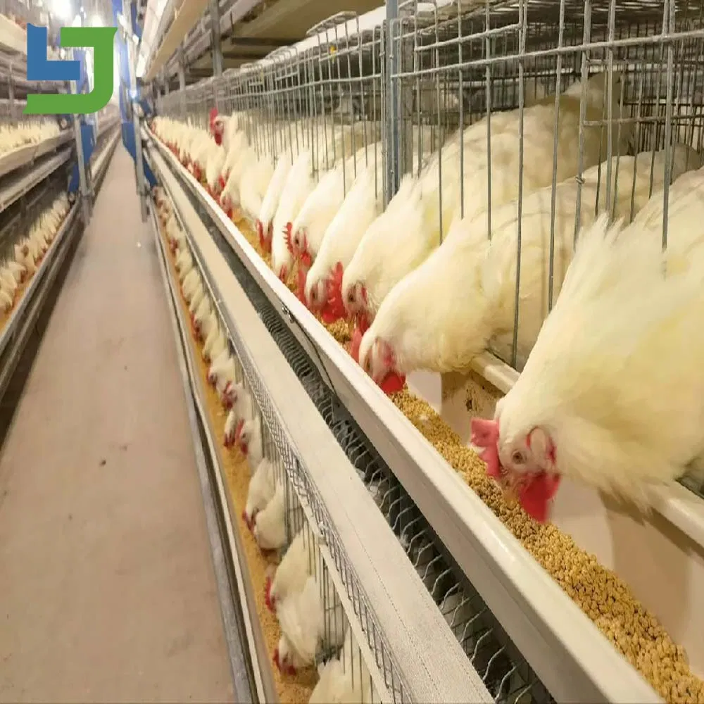 Prefabricated Steel Structure Poultry Chicken Building Shed for Broiler Commercial Farm Houses