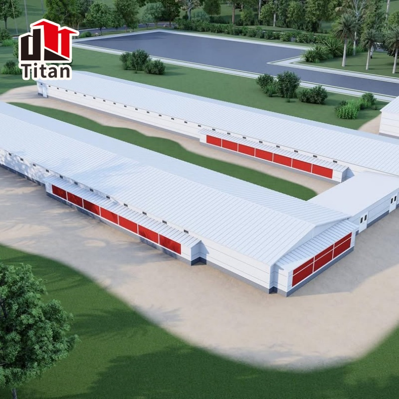 Cattle Cow Livestock Dairy Farm Prefabricated Steel Structure Building