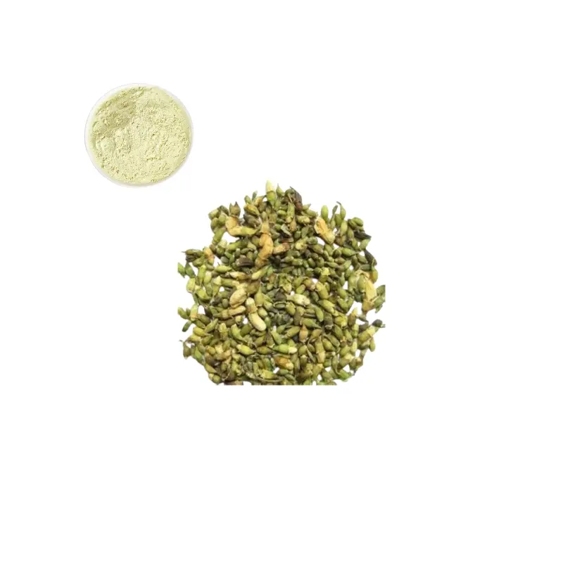 China Pure Natural Sophora Japonica Extract 95% Rutin Powder CAS 153-18-4 for Immune and Anti-Fatigue Factories, Factory