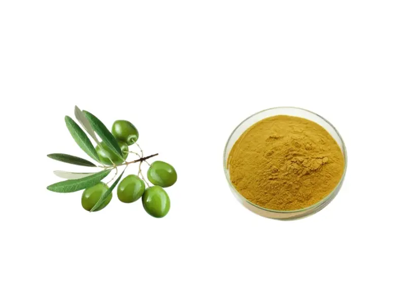 Olive leaf extract benefits