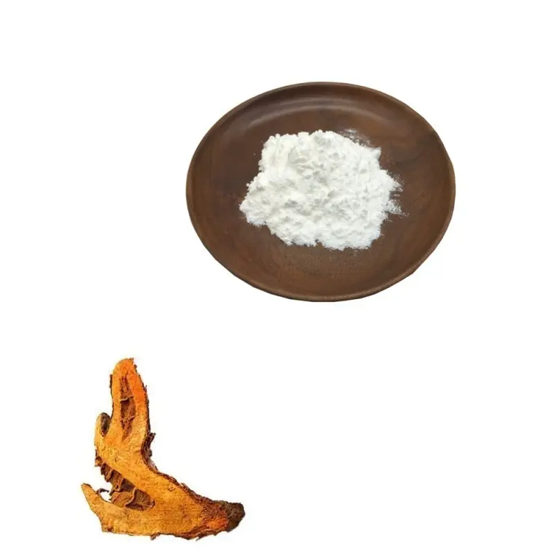 China Pharmaceutical & Food Grade Giant Knotweed Extract 10%-98% Resveratrol Polygonum Cuspidatum Extract Powder for Supplement Manufacturers, Exporters