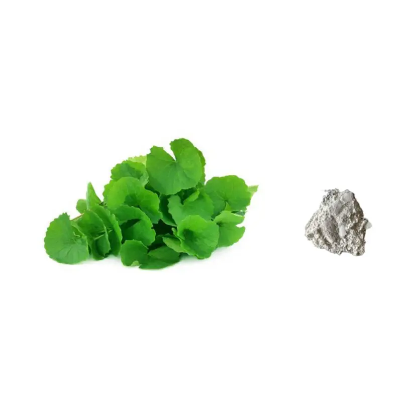 Best 10%-90% Asiaticoside Powder Hydrocotyle Asiatica Extract/Gotu Kola Extract for Skin Care Manufacturer, Suppliers